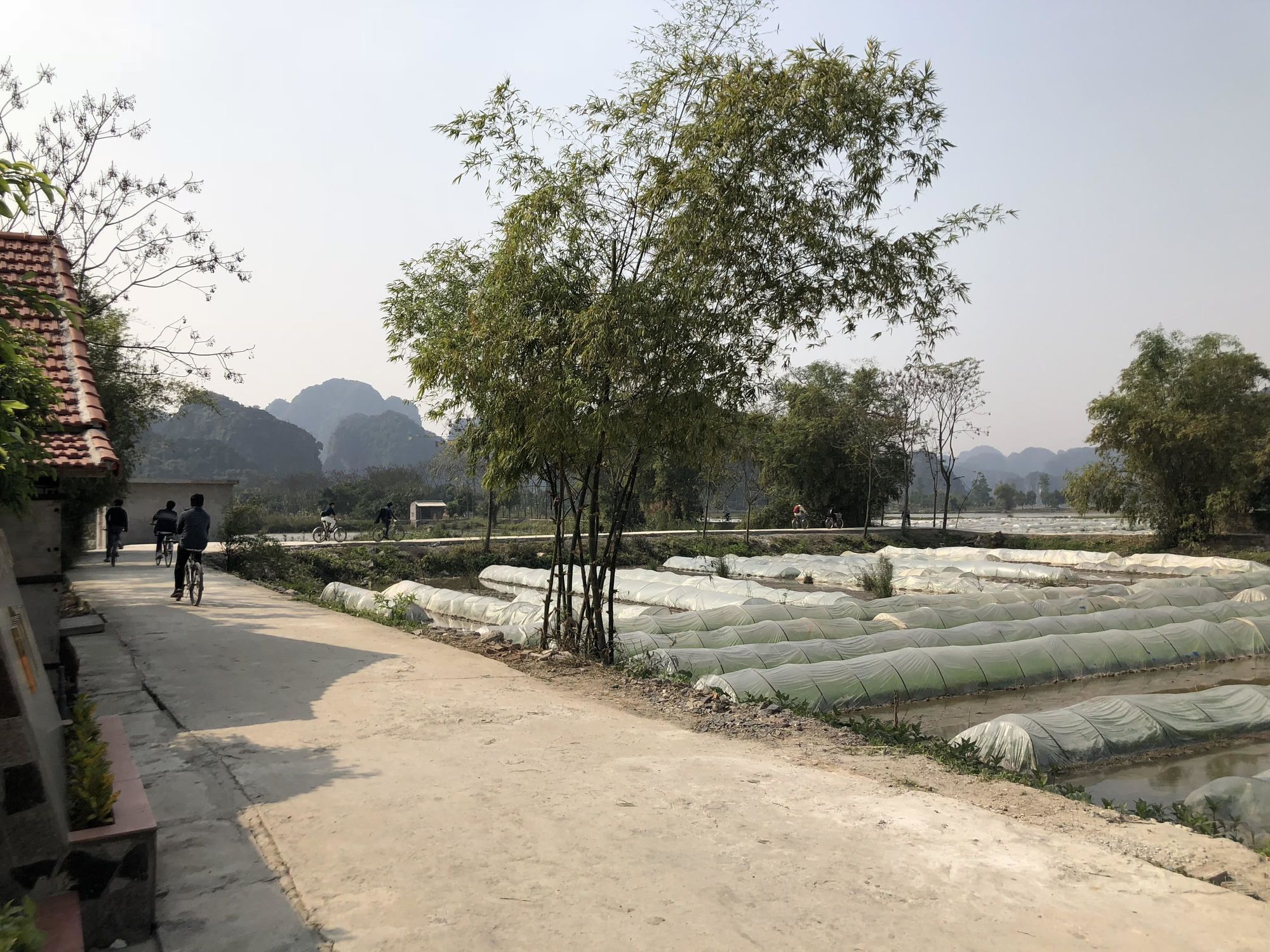 Tam Coc Garden Homestay Ninh Binh Exterior foto